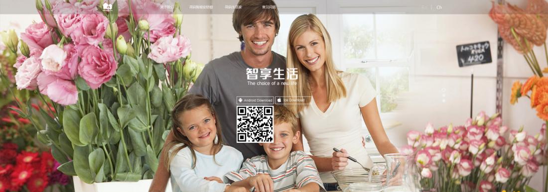 成都荷碼科技有限公司企業(yè)官方網(wǎng)站建設(shè)